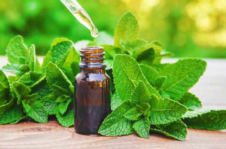 Peppermint Tea Benefits and other uses for Peppermint